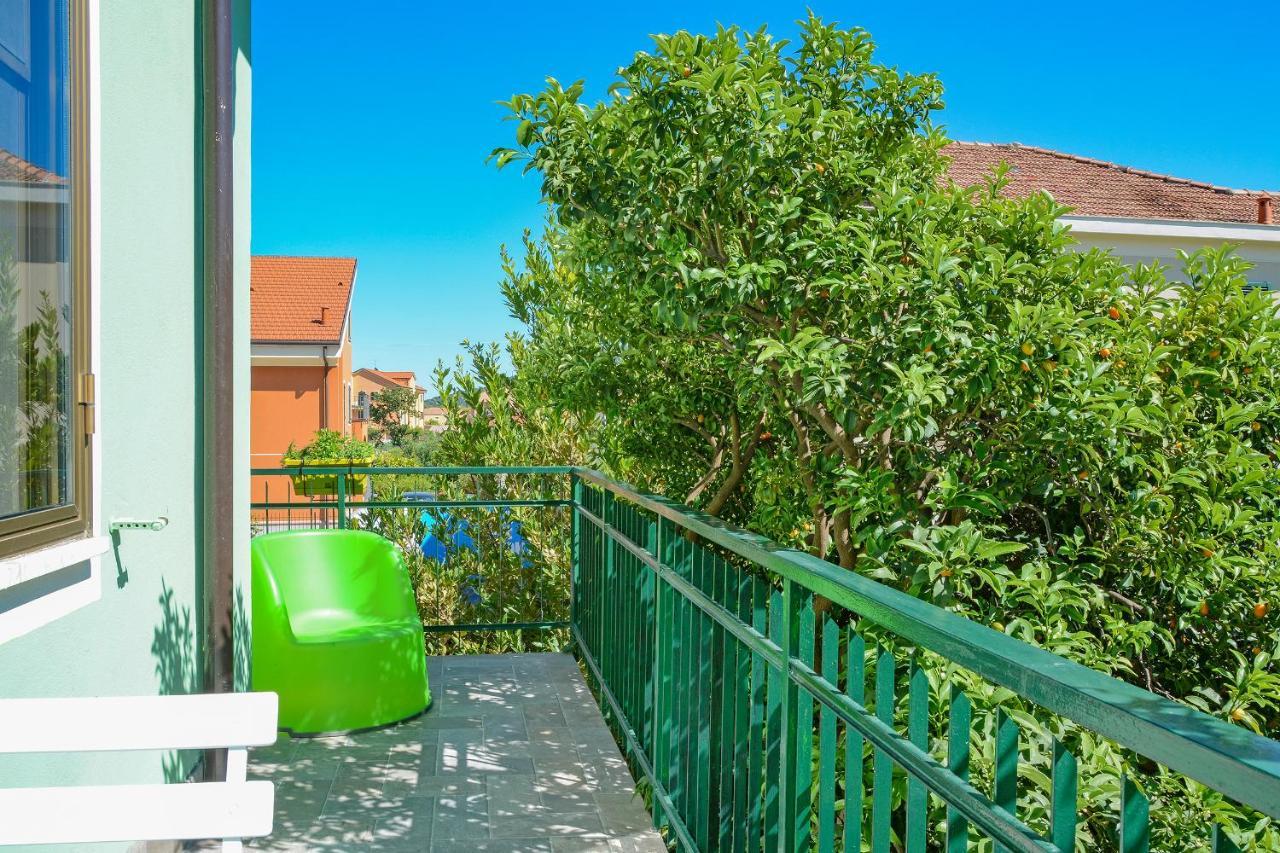 Agriturismo La Casa Degli Zii 阿尔本加 外观 照片