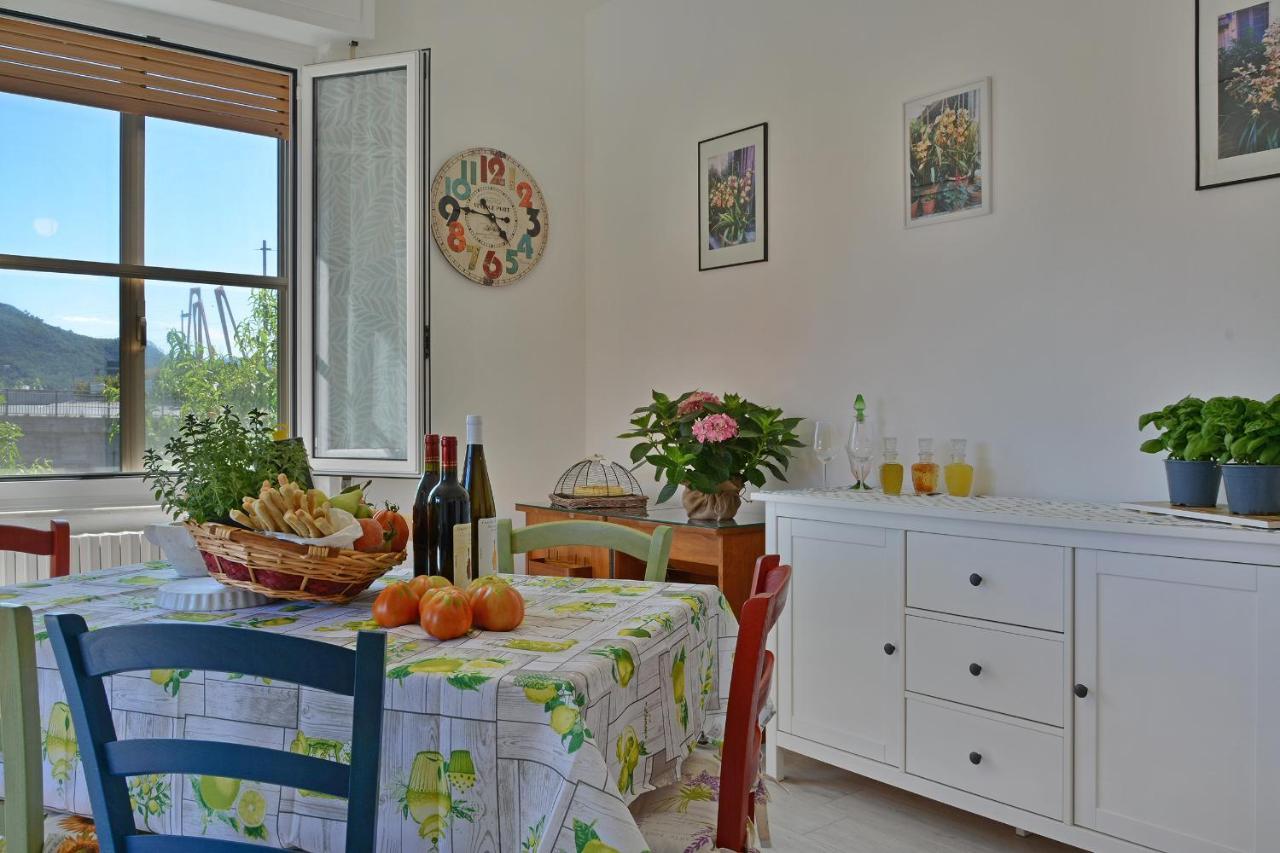 Agriturismo La Casa Degli Zii 阿尔本加 外观 照片